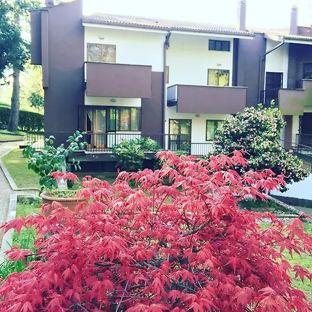 Bed & Breakfast Maison 3g Ariccia